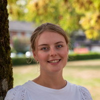 Korenaar Individu2025 12